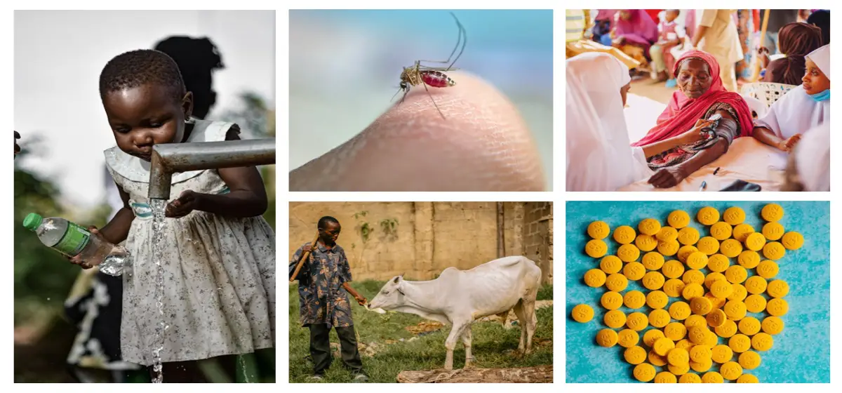 imagenes de niña africana al lado de una fuente, un mosquito, una vaca, pastillas, una mujer tomando la tensión