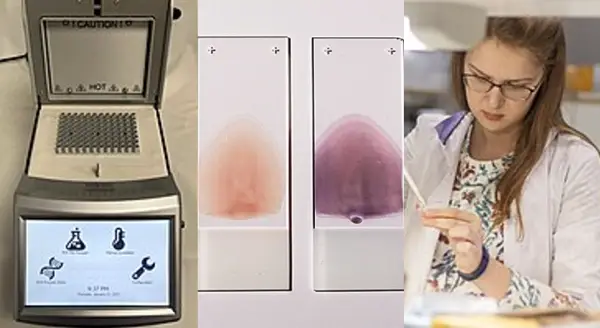 Técnicas de laboratorio