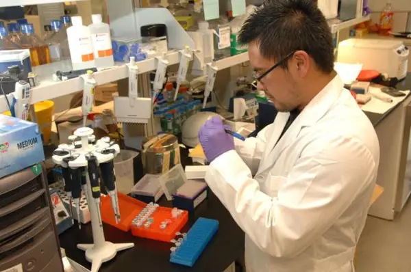 investigador en un laboratorio