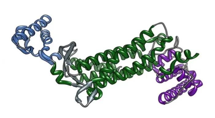 estructura de una proteina