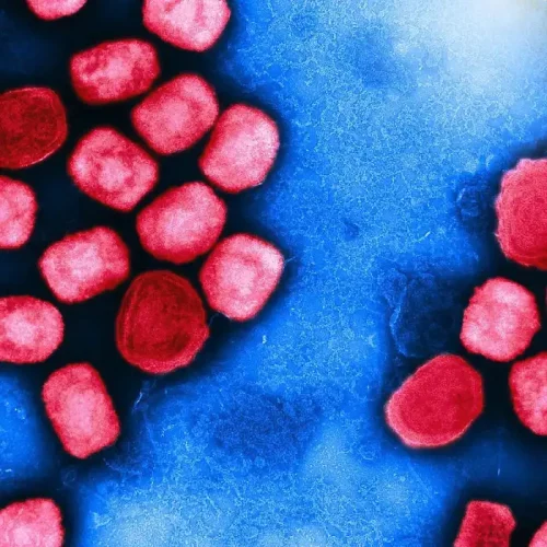 virus rojos